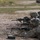 Dismounted team fires on enemy targets during platoon live fire excersizes