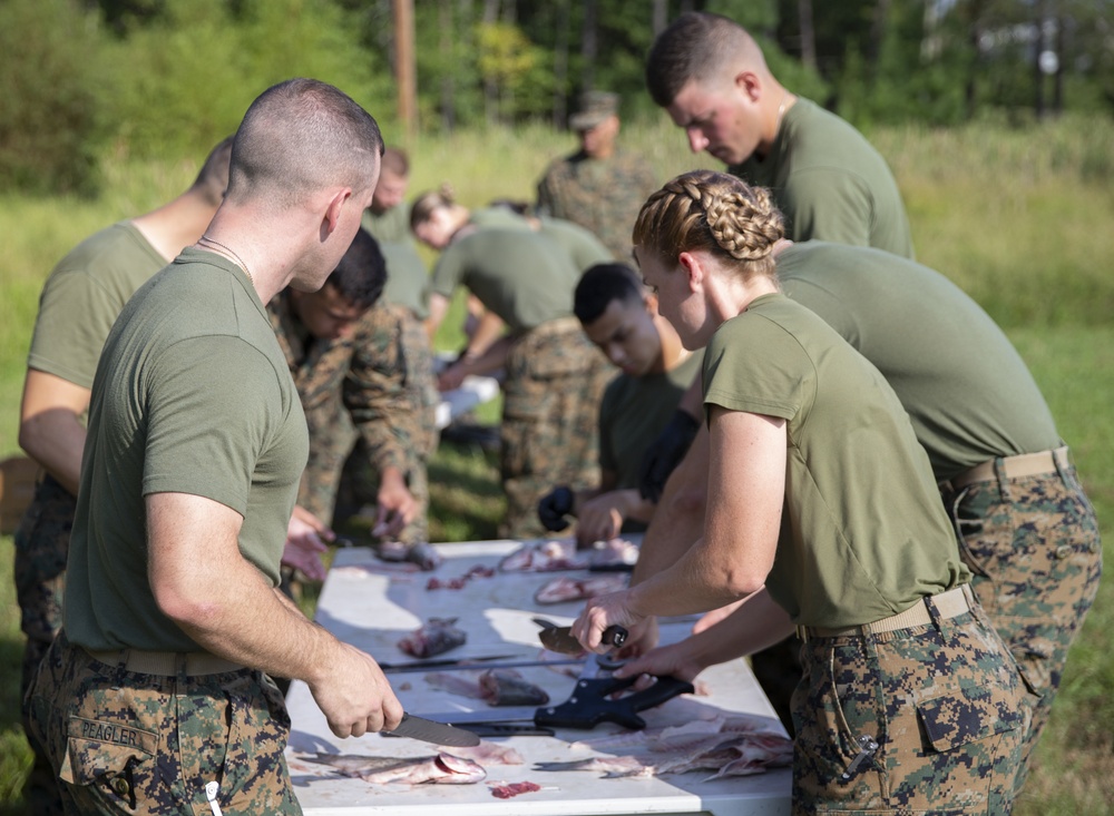 The Basic School Foraging Class