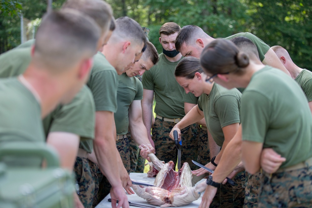 The Basic School Foraging Class