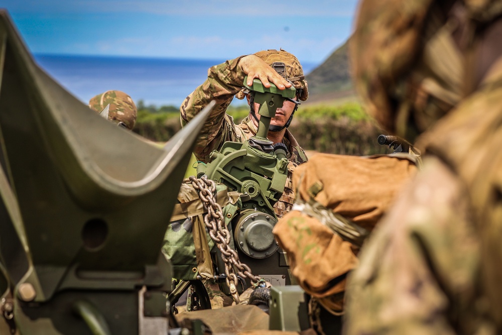 25TH DIVARTY 'STEEL CRUCIBLE' Partnership - Marines and Army Joint Air Assault Training
