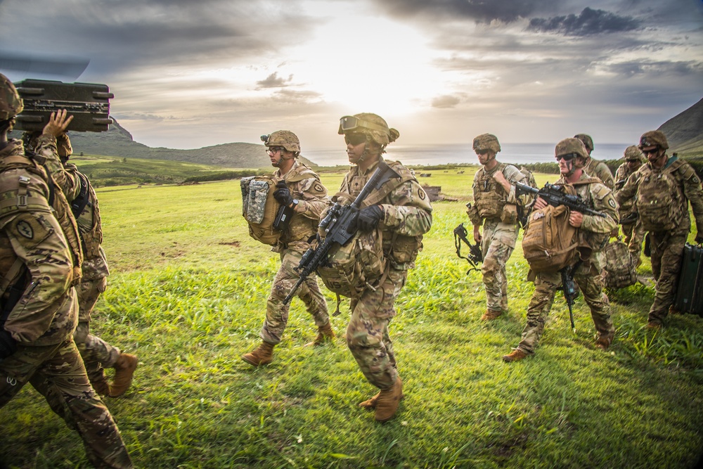 25TH DIVARTY 'STEEL CRUCIBLE' Partnership - Marines and Army Joint Air Assault Training