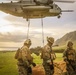 25TH DIVARTY 'STEEL CRUCIBLE' Partnership - Marines and Army Joint Air Assault Training