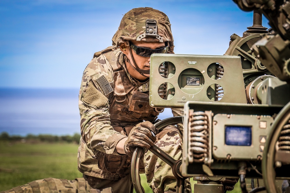 25TH DIVARTY 'STEEL CRUCIBLE' Partnership - Marines and Army Joint Air Assault Training