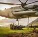25TH DIVARTY 'STEEL CRUCIBLE' Partnership - Marines and Army Joint Air Assault Training