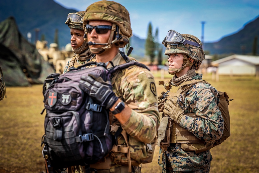25TH DIVARTY 'STEEL CRUCIBLE' Partnership - Marines and Army Joint Air Assault Training