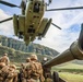 25TH DIVARTY 'STEEL CRUCIBLE' Partnership - Marines and Army Joint Air Assault Training