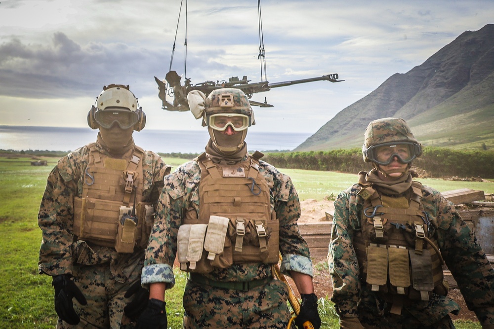 25TH DIVARTY 'STEEL CRUCIBLE' Partnership - Marines and Army Joint Air Assault Training