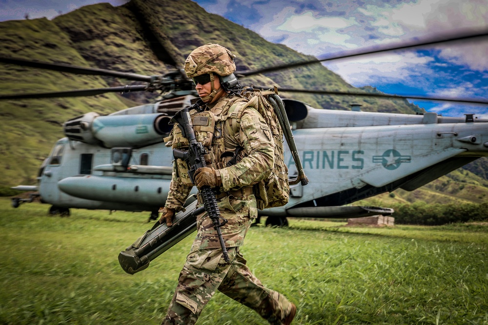 25TH DIVARTY 'STEEL CRUCIBLE' Partnership - Marines and Army Joint Air Assault Training