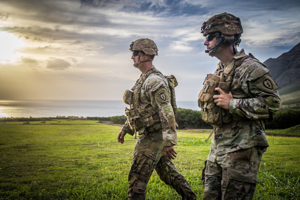 25TH DIVARTY 'STEEL CRUCIBLE' Partnership - Marines and Army Joint Air Assault Training