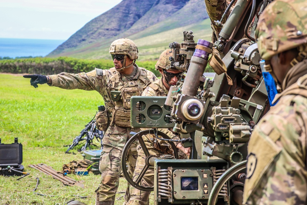 25TH DIVARTY 'STEEL CRUCIBLE' Partnership - Marines and Army Joint Air Assault Training