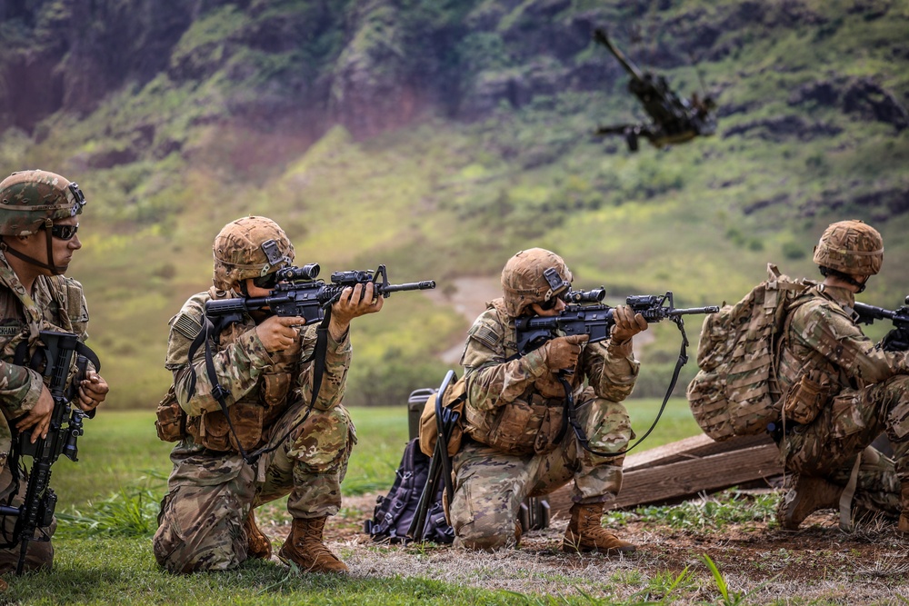 25TH DIVARTY 'STEEL CRUCIBLE' Partnership - Marines and Army Joint Air Assault Training