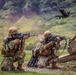 25TH DIVARTY 'STEEL CRUCIBLE' Partnership - Marines and Army Joint Air Assault Training