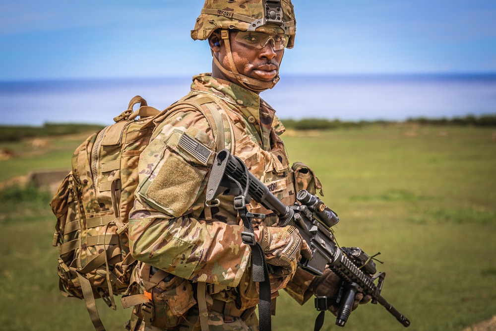 25TH DIVARTY 'STEEL CRUCIBLE' Partnership - Marines and Army Joint Air Assault Training