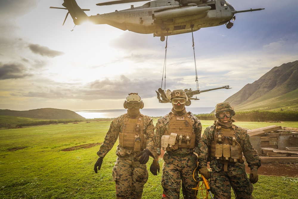 25TH DIVARTY 'STEEL CRUCIBLE' Partnership - Marines and Army Joint Air Assault Training