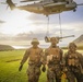 25TH DIVARTY 'STEEL CRUCIBLE' Partnership - Marines and Army Joint Air Assault Training