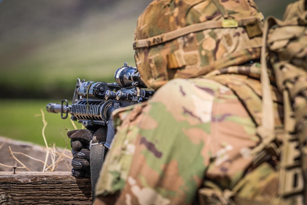 25TH DIVARTY 'STEEL CRUCIBLE' Partnership - Marines and Army Joint Air Assault Training