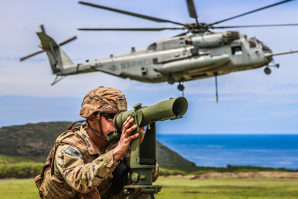 25TH DIVARTY 'STEEL CRUCIBLE' Partnership - Marines and Army Joint Air Assault Training