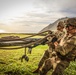 25TH DIVARTY 'STEEL CRUCIBLE' Partnership - Marines and Army Joint Air Assault Training