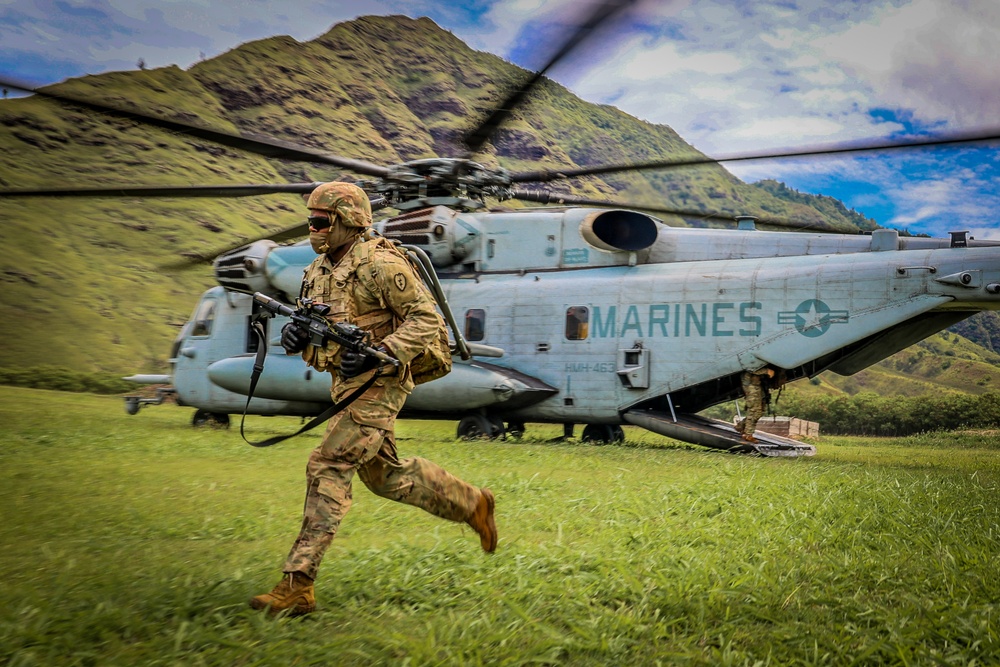 25TH DIVARTY 'STEEL CRUCIBLE' Partnership - Marines and Army Joint Air Assault Training