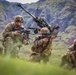 25TH DIVARTY 'STEEL CRUCIBLE' Partnership - Marines and Army Joint Air Assault Training
