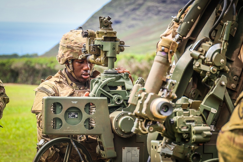 25TH DIVARTY 'STEEL CRUCIBLE' Partnership - Marines and Army Joint Air Assault Training