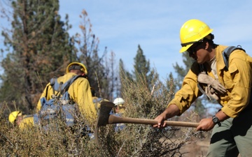 DoD Wildland Firefighting Response