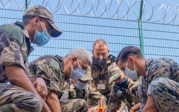 HMA 2021 Shaped with fire