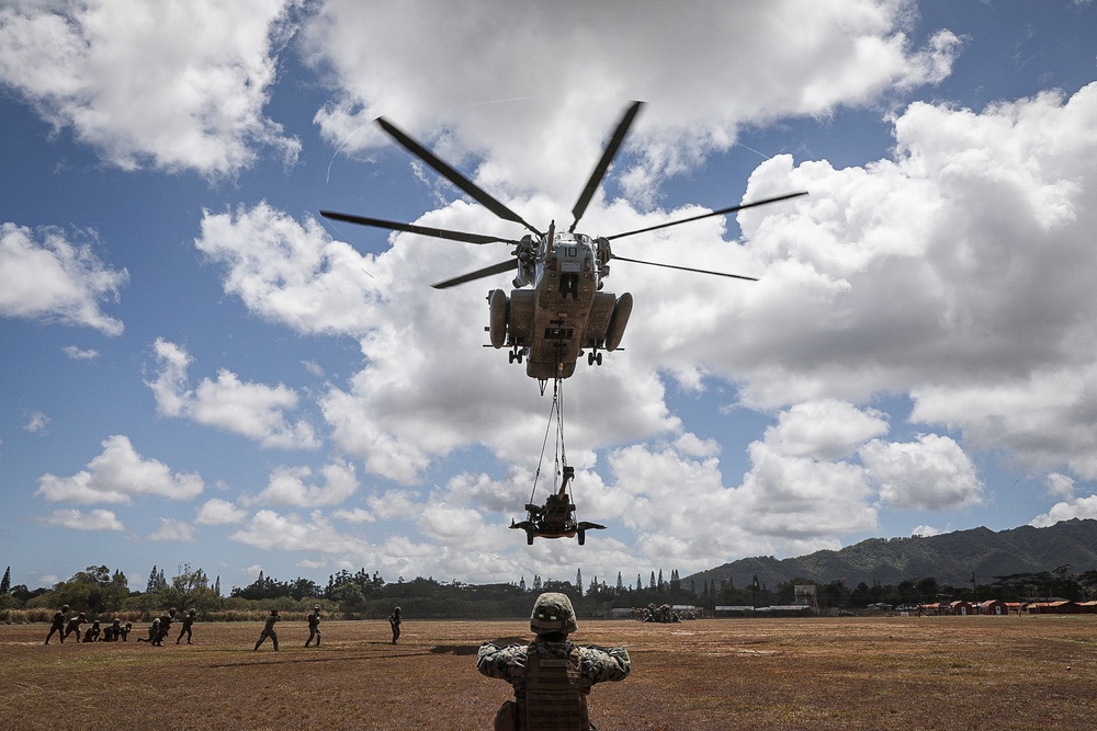 25TH DIVARTY 'STEEL CRUCIBLE' Partnership - Marines and Army Joint Air Assault Training