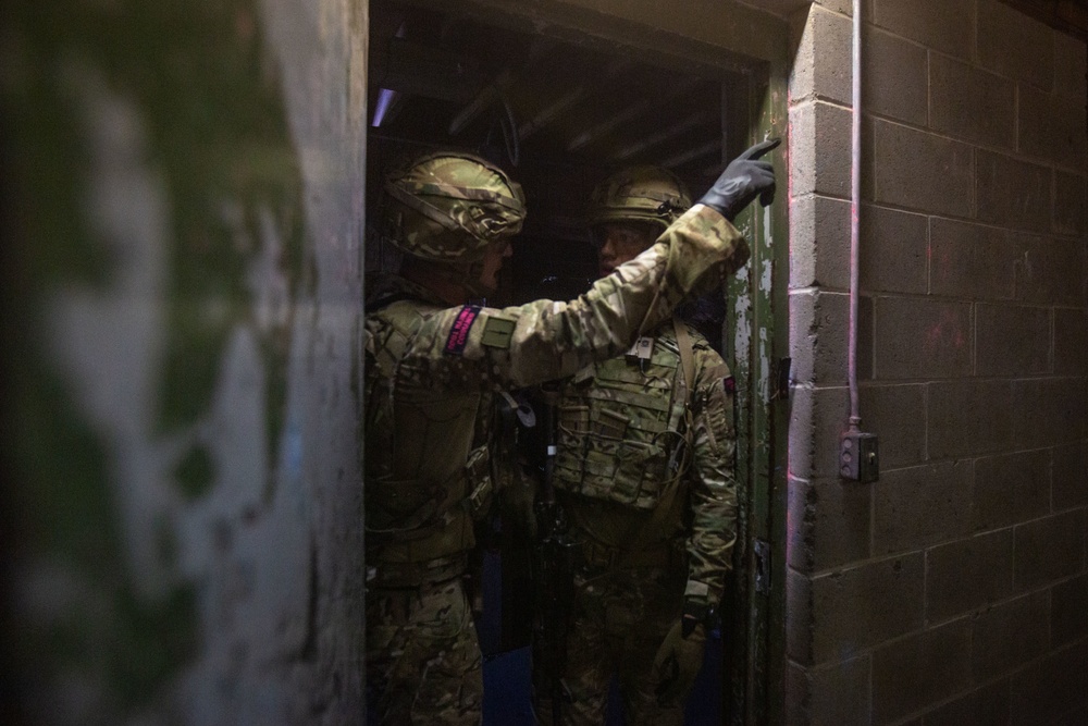 Exercise Tartan Eagle Phase One