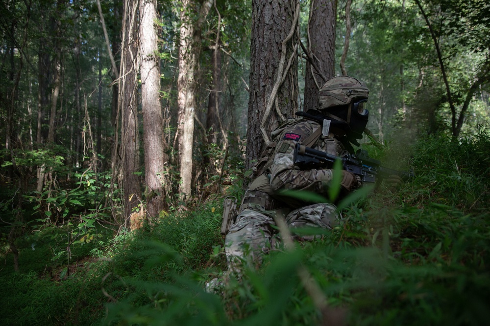 Exercise Tartan Eagle Phase One