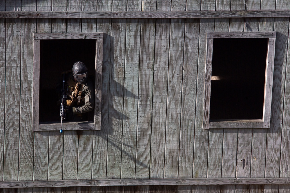 Exercise Tartan Eagle Phase One, U.S. Marines and British Royal Marines