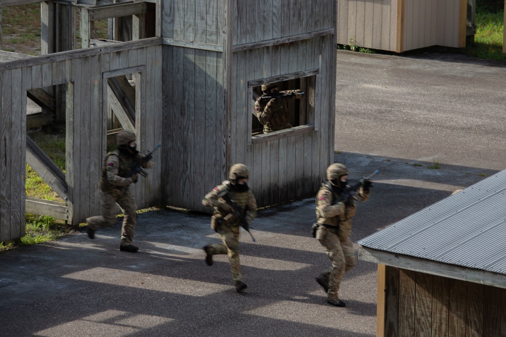 Exercise Tartan Eagle Phase One, U.S. Marines and British Royal Marines