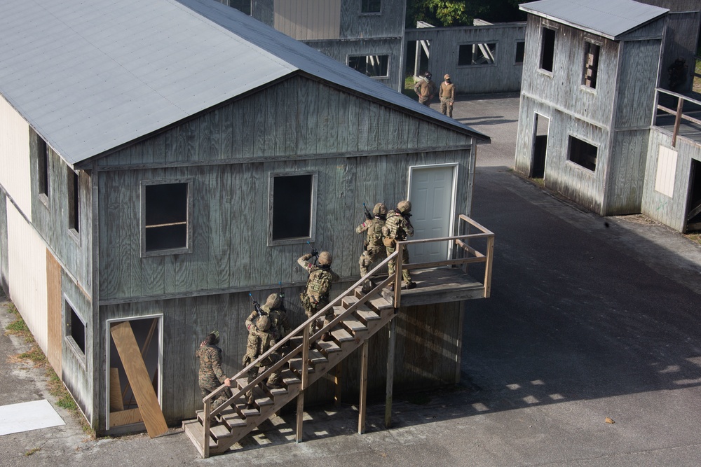 Exercise Tartan Eagle Phase One, U.S. Marines and British Royal Marines