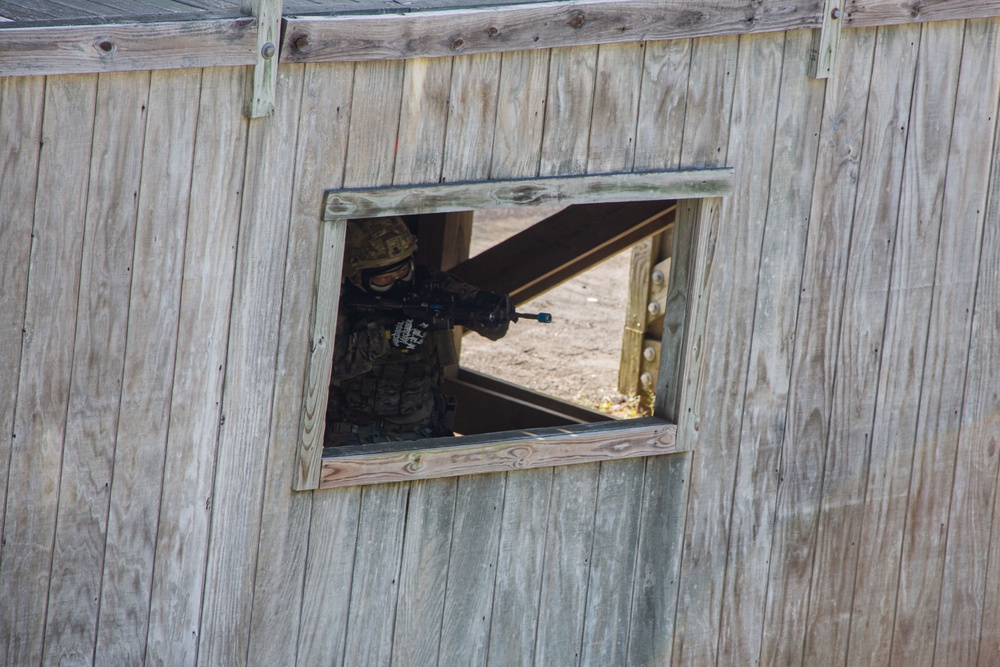 Exercise Tartan Eagle Phase One, U.S. Marines and British Royal Marines