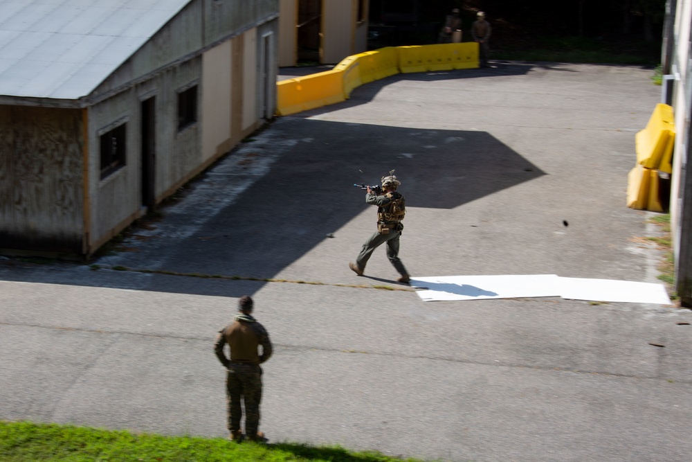 Exercise Tartan Eagle Phase One, U.S. Marines and British Royal Marines