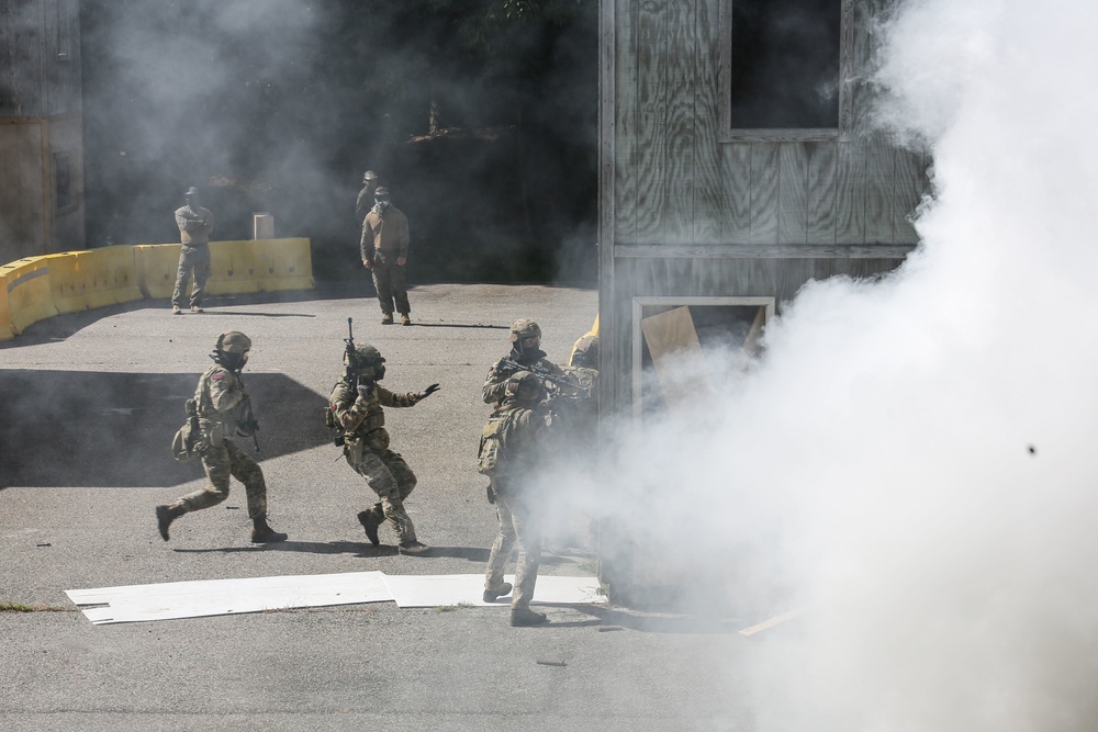 Exercise Tartan Eagle Phase One, U.S. Marines and British Royal Marines