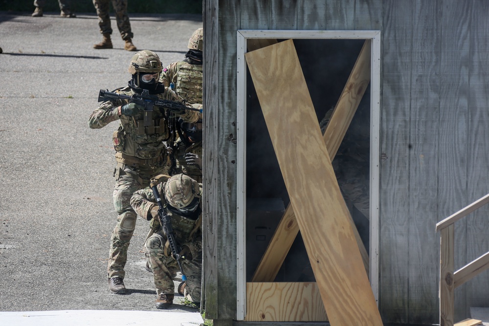 Exercise Tartan Eagle Phase One, U.S. Marines and British Royal Marines