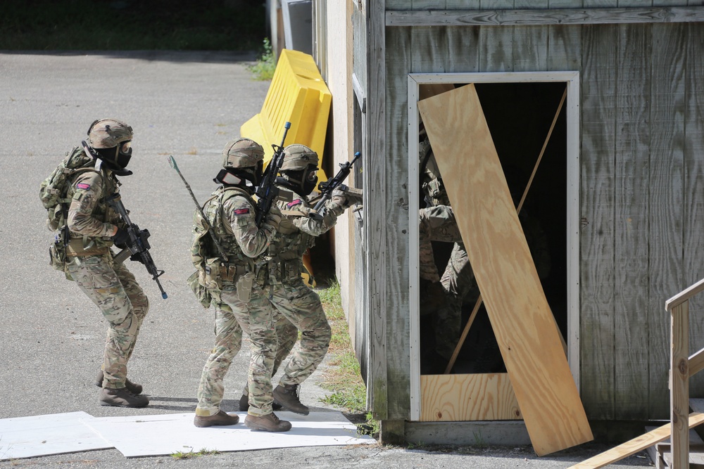 Exercise Tartan Eagle Phase One, U.S. Marines and British Royal Marines