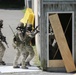 Exercise Tartan Eagle Phase One, U.S. Marines and British Royal Marines