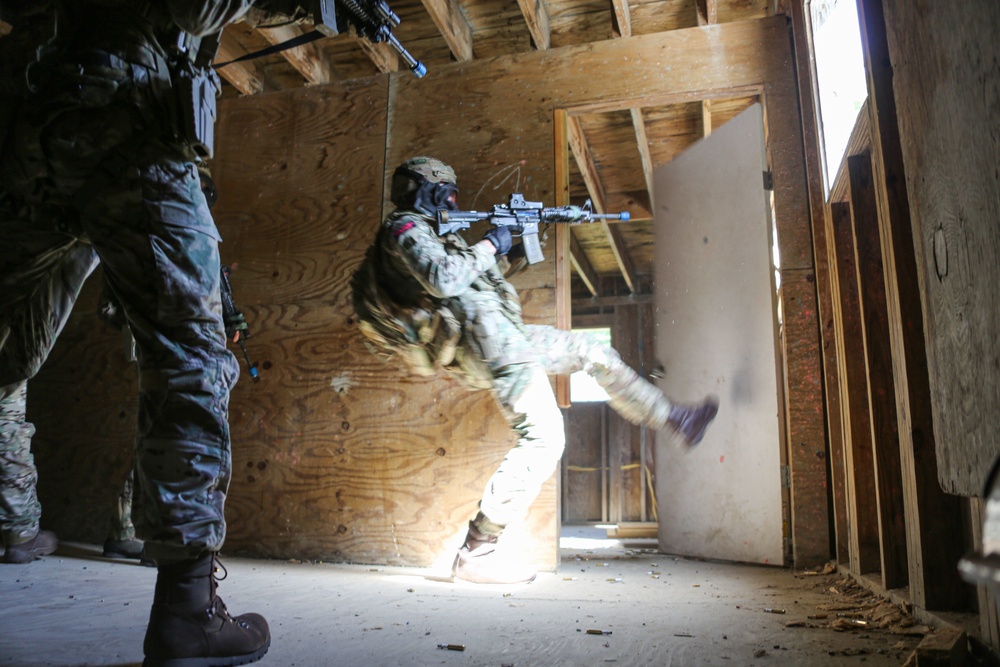 Exercise Tartan Eagle Phase One, U.S. Marines and British Royal Marines