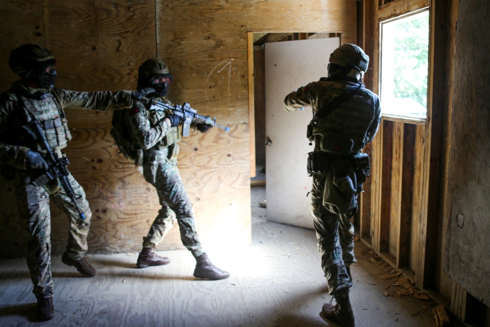 Exercise Tartan Eagle Phase One, U.S. Marines and British Royal Marines