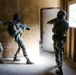 Exercise Tartan Eagle Phase One, U.S. Marines and British Royal Marines