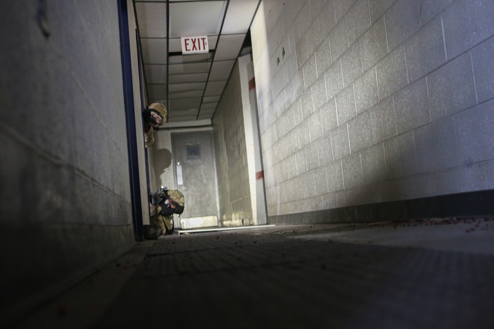 Exercise Tartan Eagle Phase One, U.S. Marines and British Royal Marines