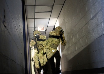 Exercise Tartan Eagle Phase One, U.S. Marines and British Royal Marines