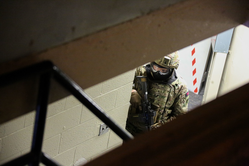 Exercise Tartan Eagle Phase One, U.S. Marines and British Royal Marines
