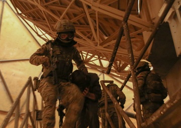 Exercise Tartan Eagle Phase One, U.S. Marines and British Royal Marines