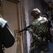 Exercise Tartan Eagle Phase One