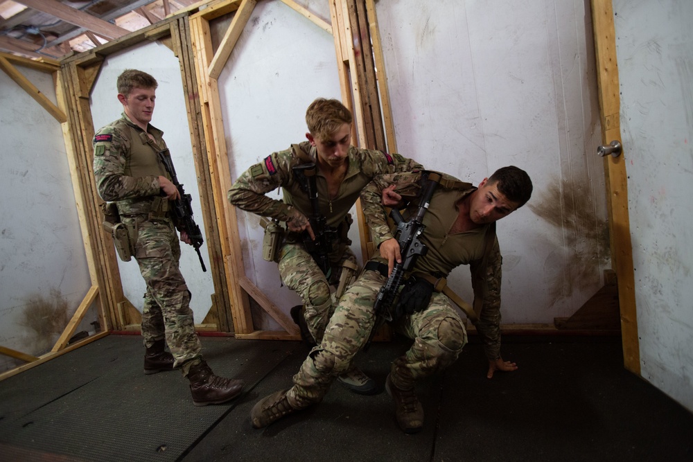 Exercise Tartan Eagle Phase One