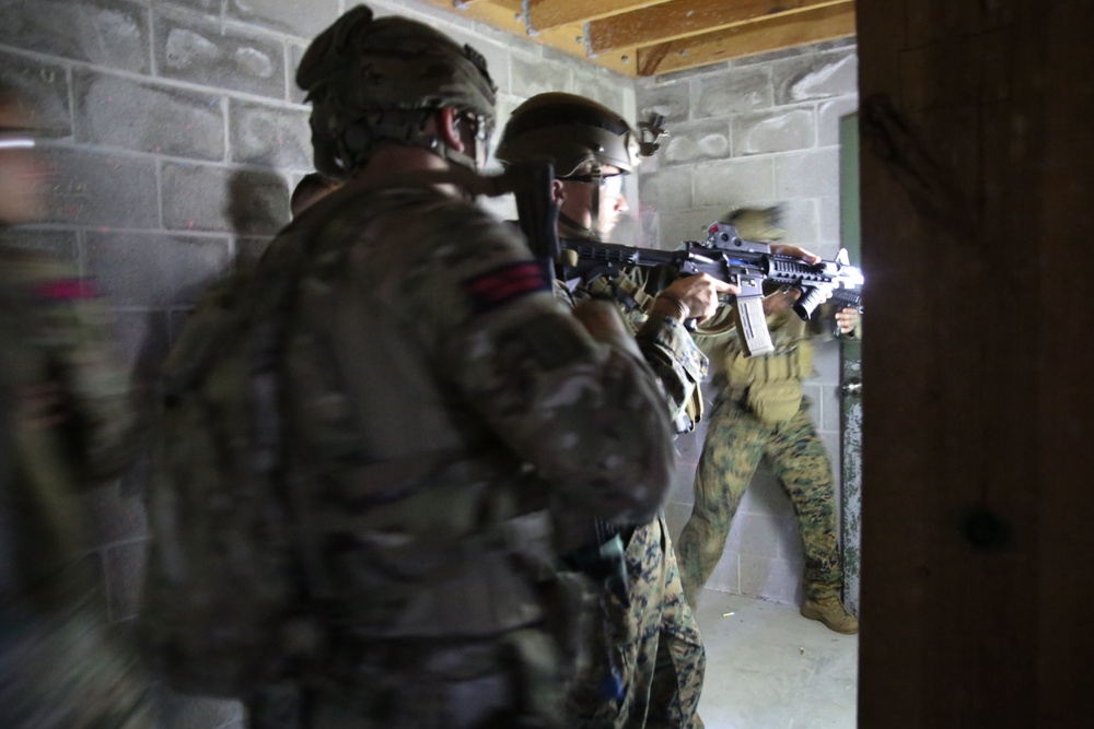Exercise Tartan Eagle Phase One