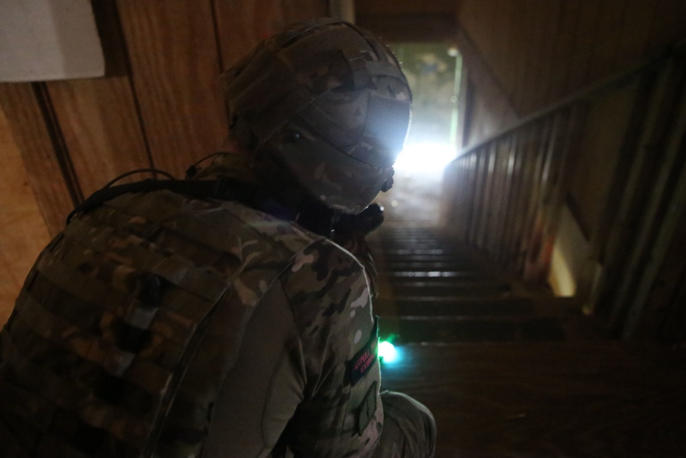 Exercise Tartan Eagle Phase One
